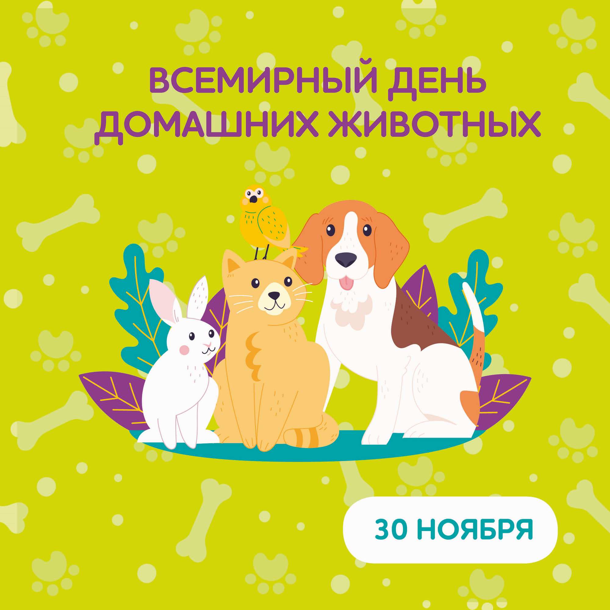 Международный конкурс к Всемирному дню домашних животных «МОЙ САМЫЙ ВЕРНЫЙ ДРУГ»