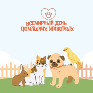 Международный конкурс к Всемирному дню домашних животных «МОЙ ДОМАШНИЙ ДРУГ»