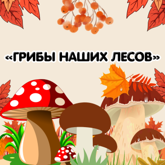 Всероссийская познавательная викторина «ГРИБЫ НАШИХ ЛЕСОВ»